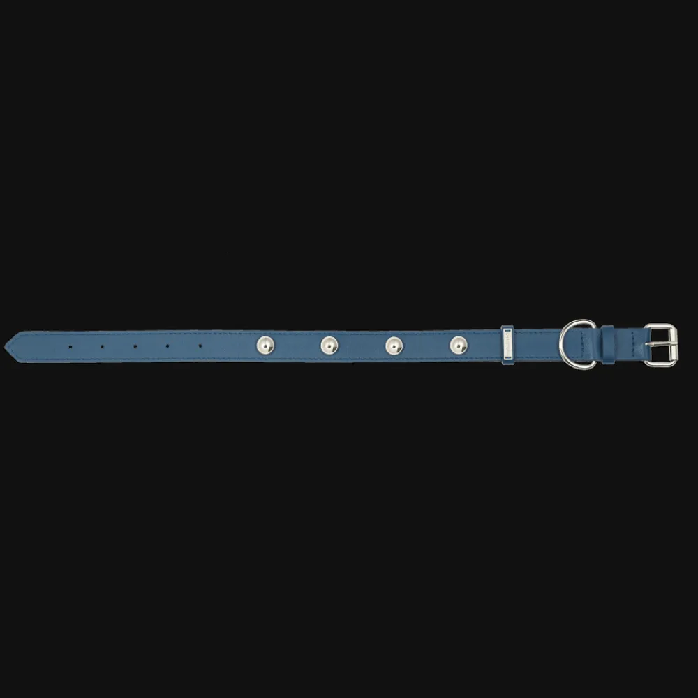 Accessoires Pour Animaux|Accessoires Pour Animaux*Christofle Collier en cuir de veau pour chien - taille 2