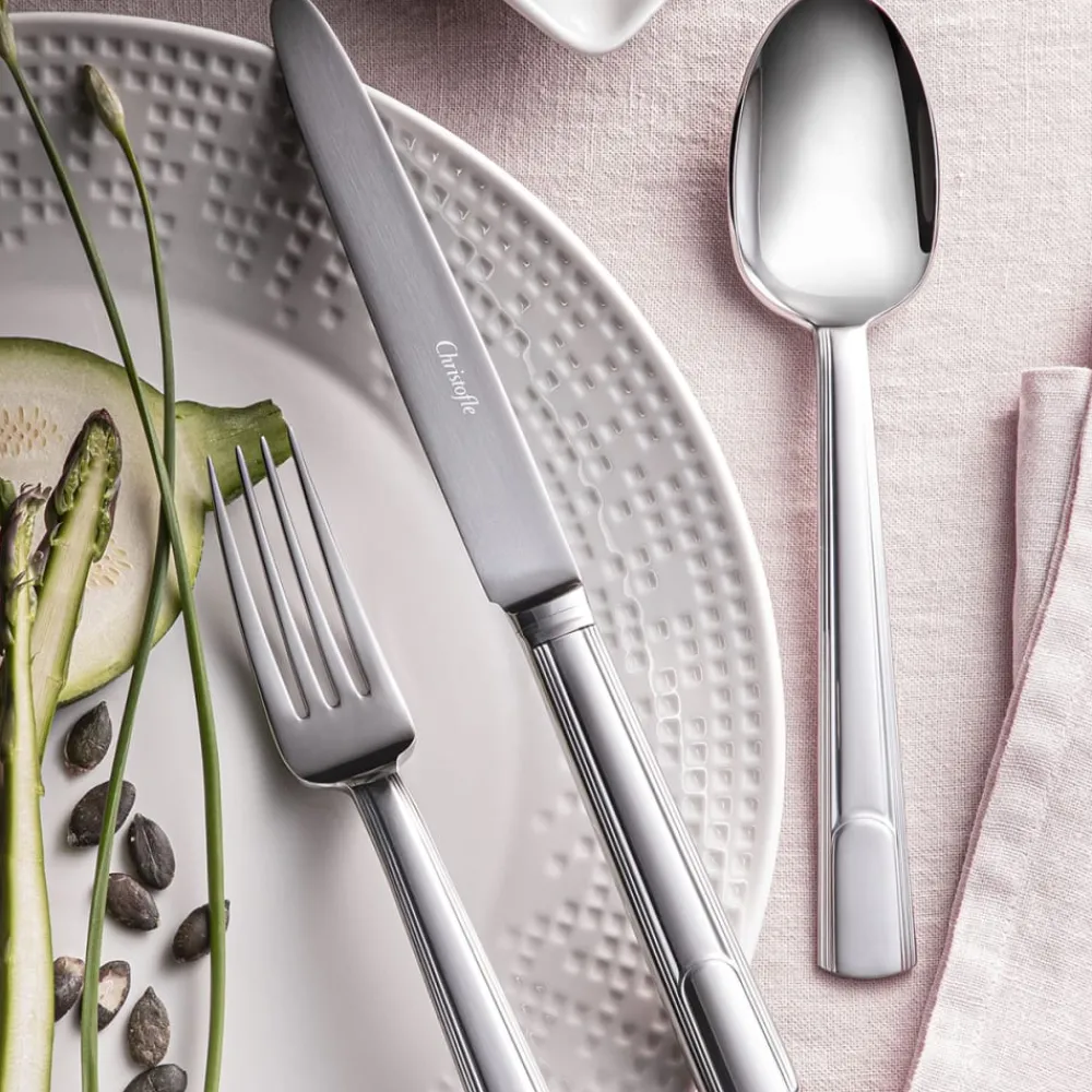 Services De Table Et Ménagères*Christofle Ensemble pour 12 personnes (48 pièces) en acier avec boîte de rangement