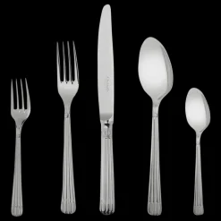 Services De Table Et Ménagères*Christofle Ensemble pour 12 personnes (75 pièces) en acier avec coffre