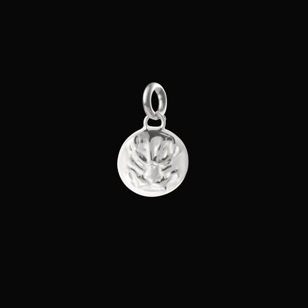 Cadeaux Personnalisables|Cadeaux Pour La Maman*Christofle Médaille en Argent Massif - Peau de Lion