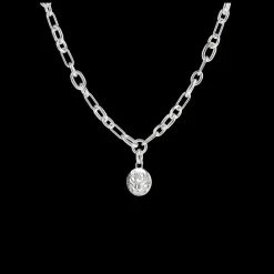 Cadeaux Personnalisables|Cadeaux Pour La Maman*Christofle Médaille en Argent Massif - Peau de Lion